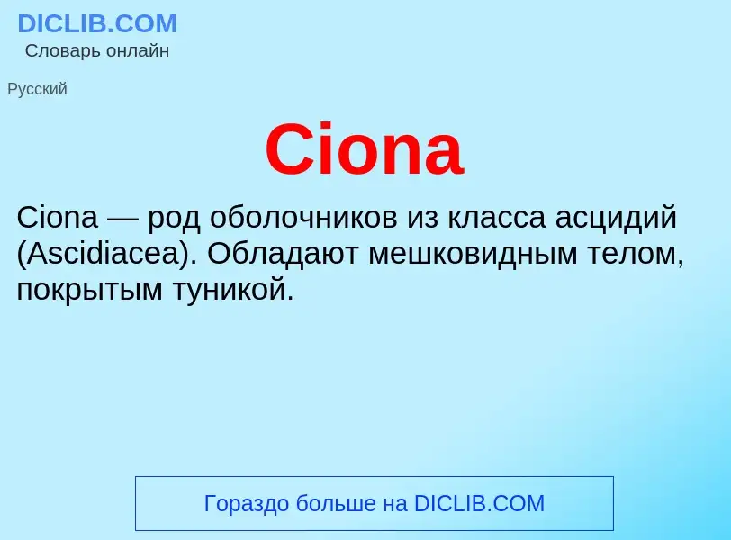 Что такое Ciona - определение