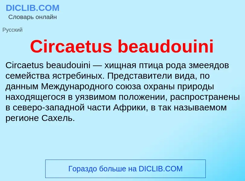 Что такое Circaetus beaudouini - определение