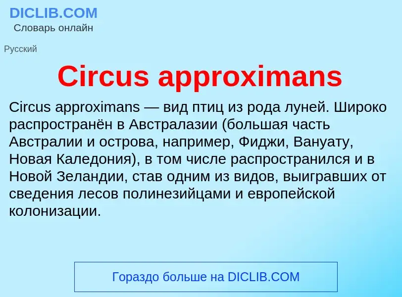 Что такое Circus approximans - определение