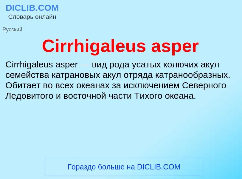 Что такое Cirrhigaleus asper - определение