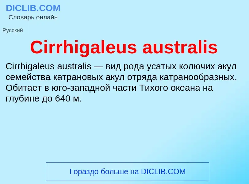 Что такое Cirrhigaleus australis - определение