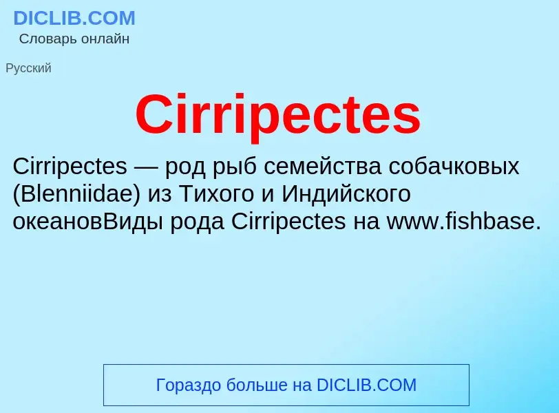 Что такое Cirripectes - определение