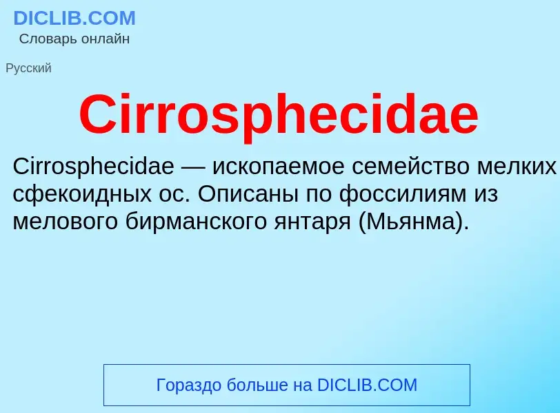 Что такое Cirrosphecidae - определение