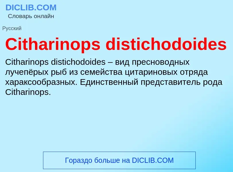 Что такое Citharinops distichodoides - определение