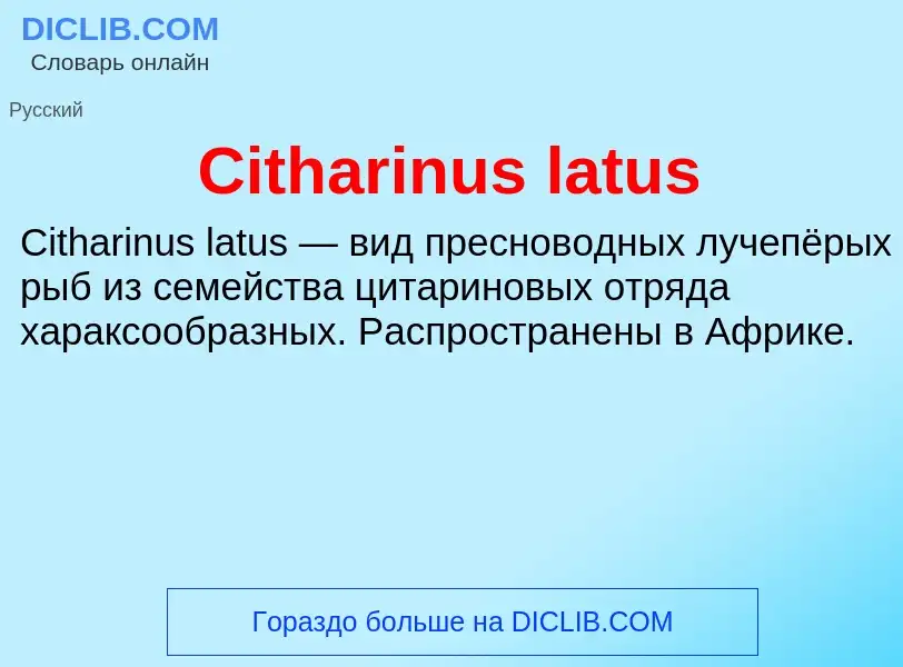 Что такое Citharinus latus - определение