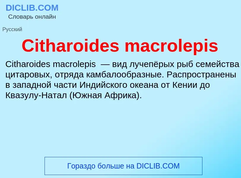 Что такое Citharoides macrolepis - определение