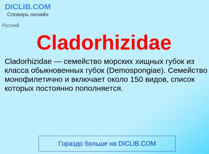 Что такое Cladorhizidae - определение