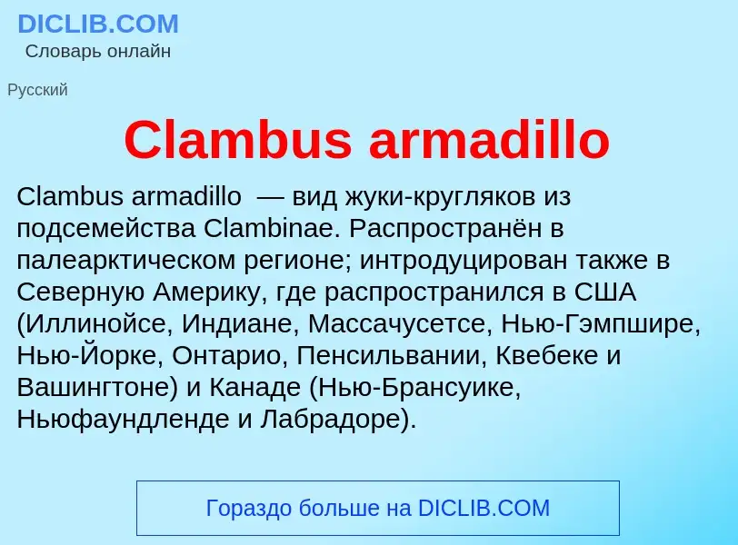 Что такое Clambus armadillo - определение