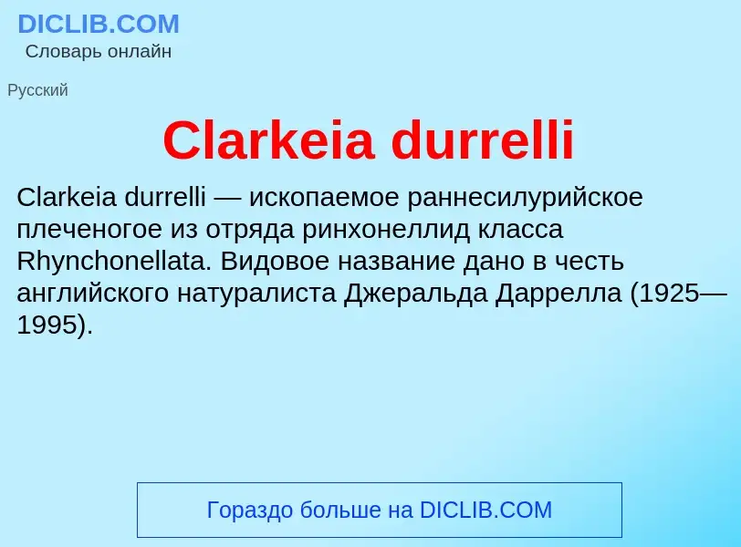 Что такое Clarkeia durrelli - определение