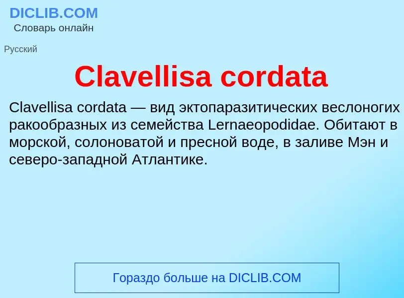 Что такое Clavellisa cordata - определение