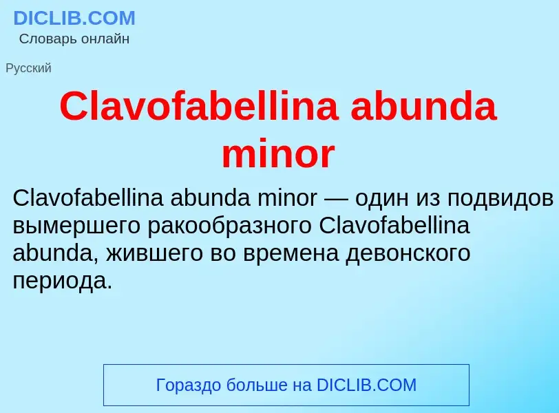 Что такое Clavofabellina abunda minor - определение