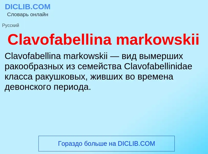 Что такое Clavofabellina markowskii - определение