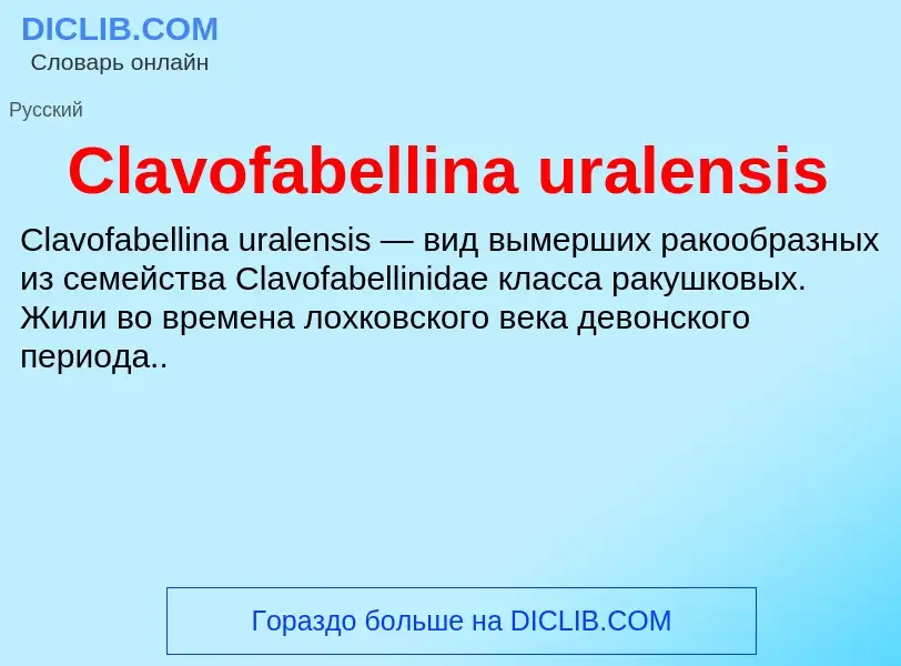 Что такое Clavofabellina uralensis - определение