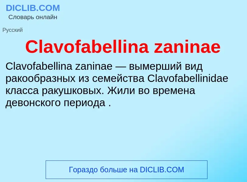 Что такое Clavofabellina zaninae - определение