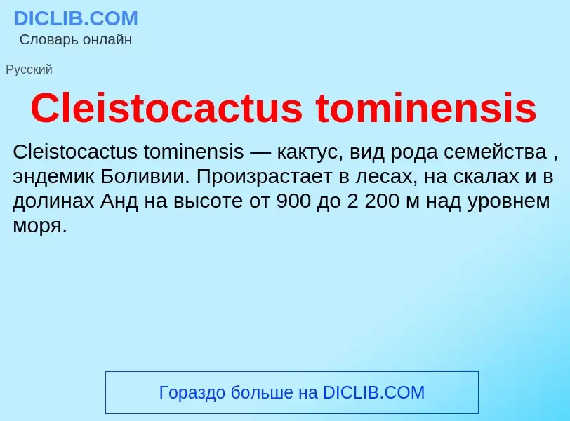 Что такое Cleistocactus tominensis - определение