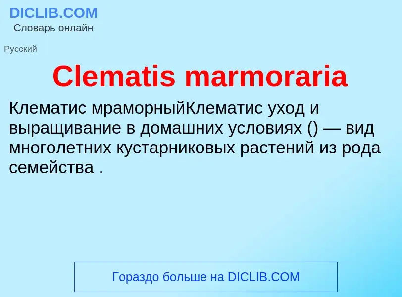 Что такое Clematis marmoraria - определение