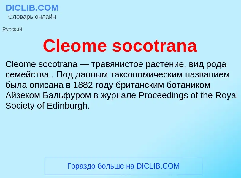 Что такое Cleome socotrana - определение