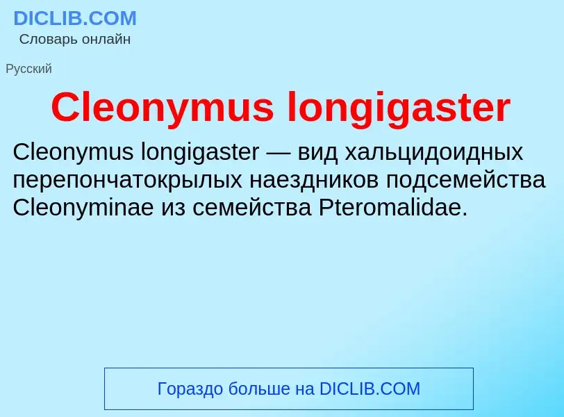 Что такое Cleonymus longigaster - определение