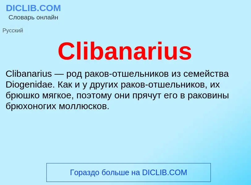 Что такое Clibanarius - определение