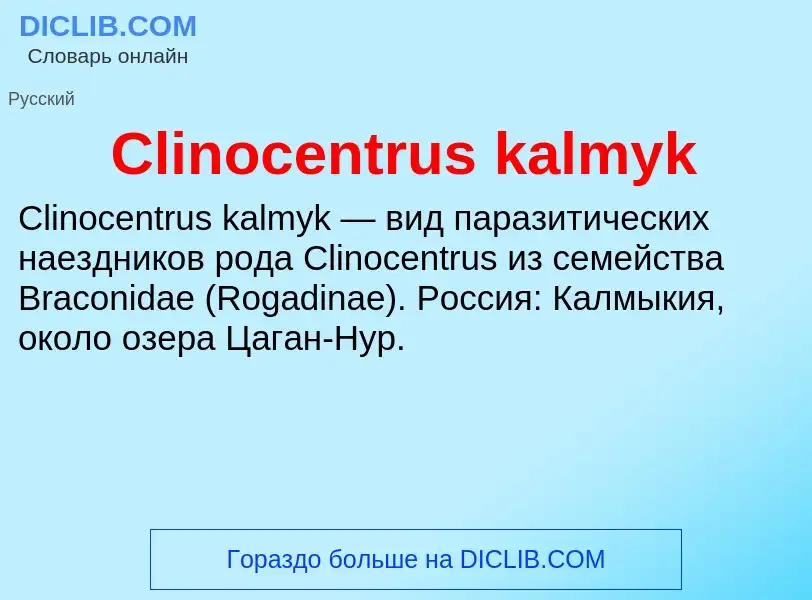 Что такое Clinocentrus kalmyk - определение