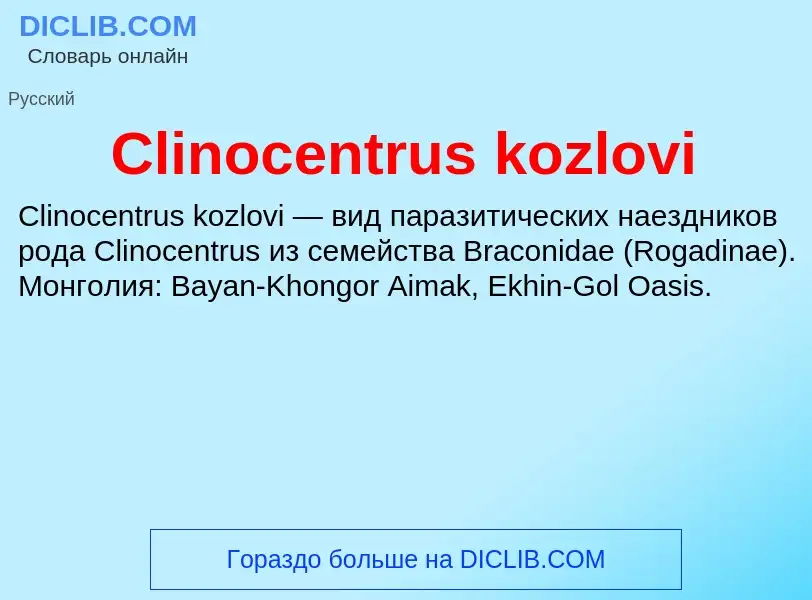 Что такое Clinocentrus kozlovi - определение