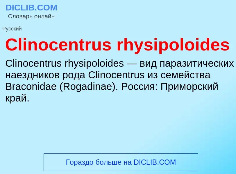 Что такое Clinocentrus rhysipoloides - определение