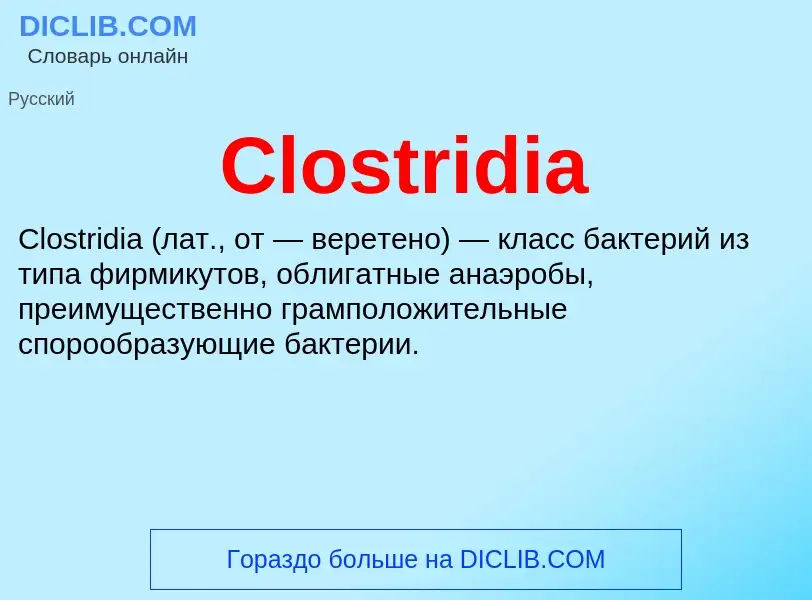 Что такое Clostridia - определение