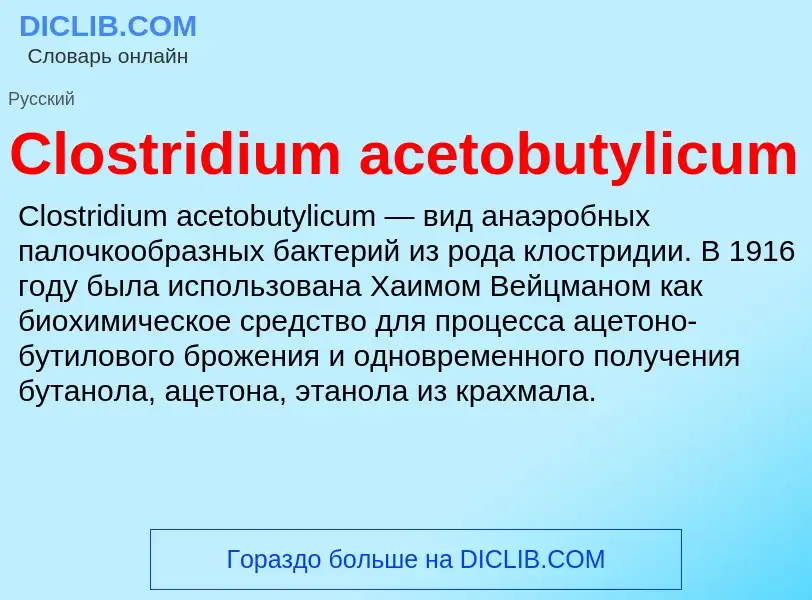 Что такое Clostridium acetobutylicum - определение