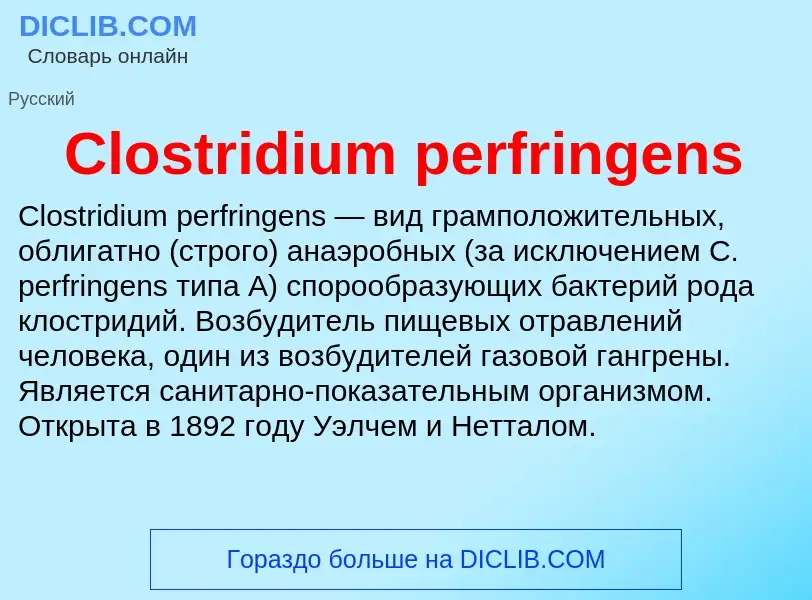 Что такое Clostridium perfringens - определение