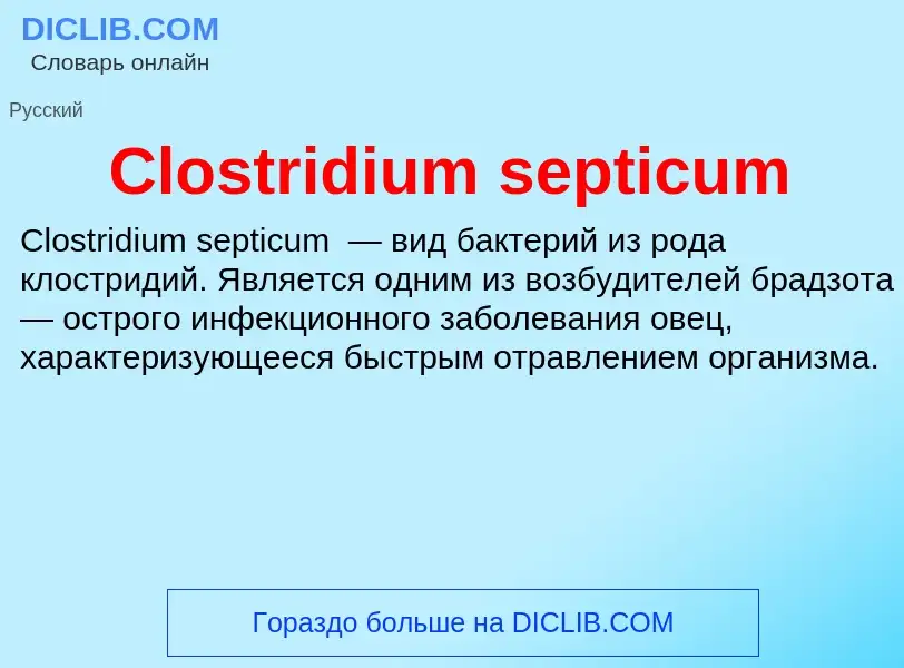 Что такое Clostridium septicum - определение