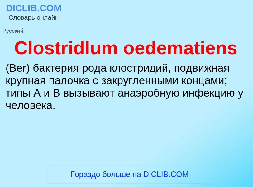 Что такое Clostridlum oedematiens  - определение