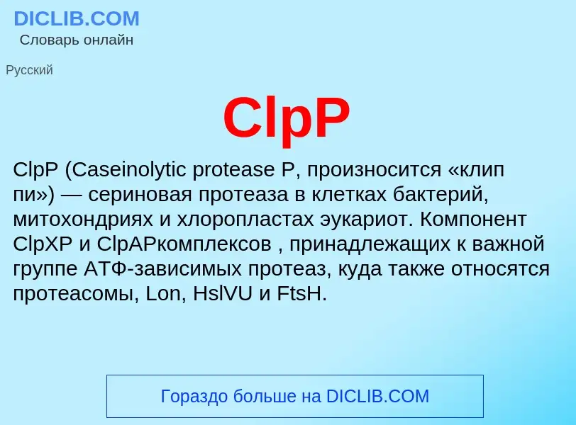 Что такое ClpP - определение