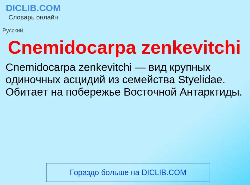 Что такое Cnemidocarpa zenkevitchi - определение