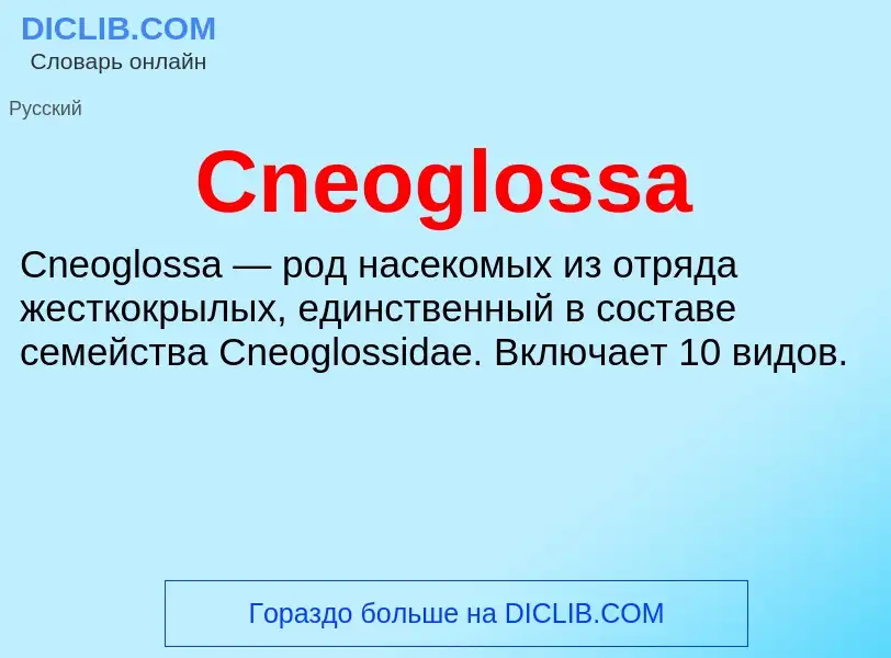 Что такое Cneoglossa - определение