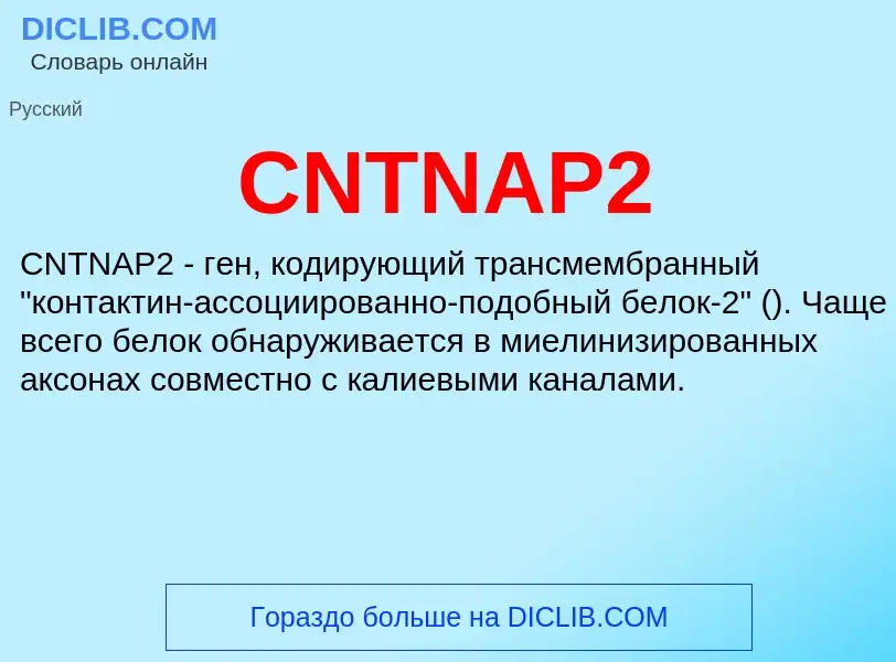 Что такое CNTNAP2 - определение