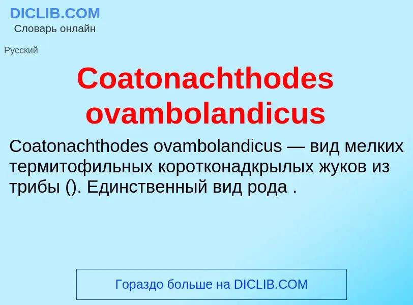 Что такое Coatonachthodes ovambolandicus - определение