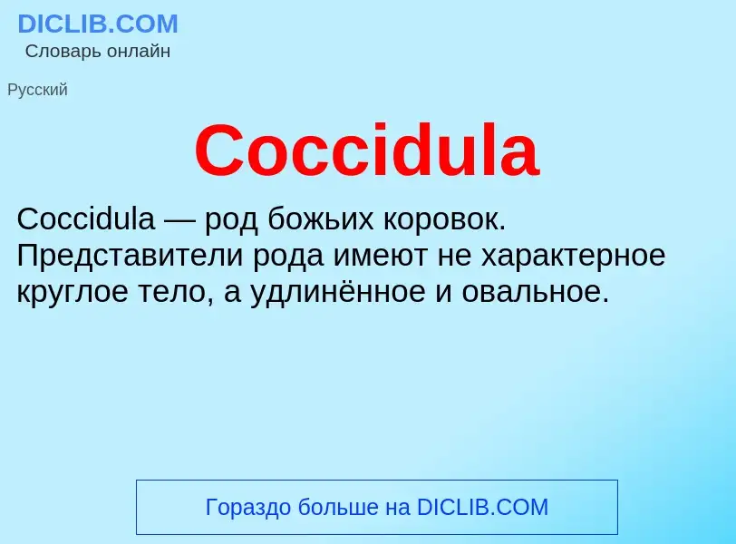 Что такое Coccidula - определение