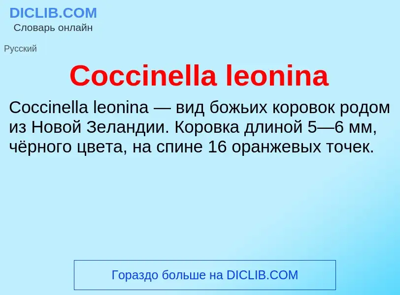 Что такое Coccinella leonina - определение