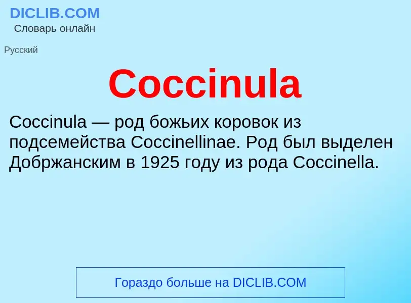 Что такое Coccinula - определение