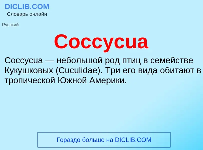 Что такое Coccycua - определение