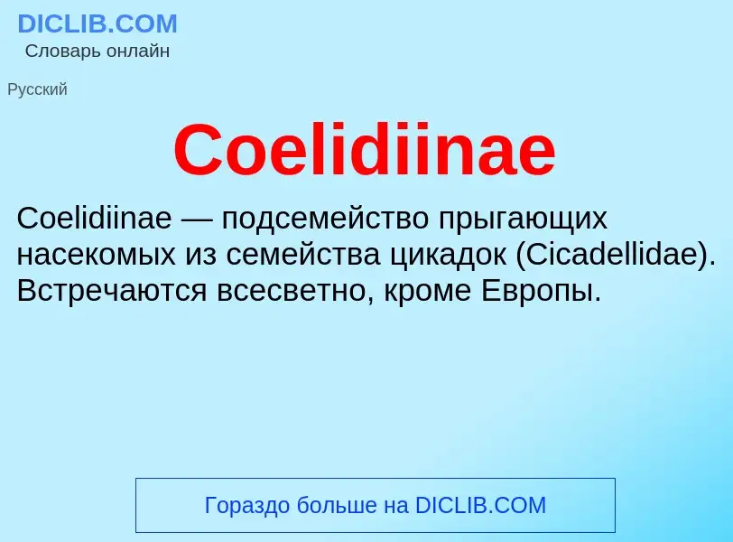 Что такое Coelidiinae - определение