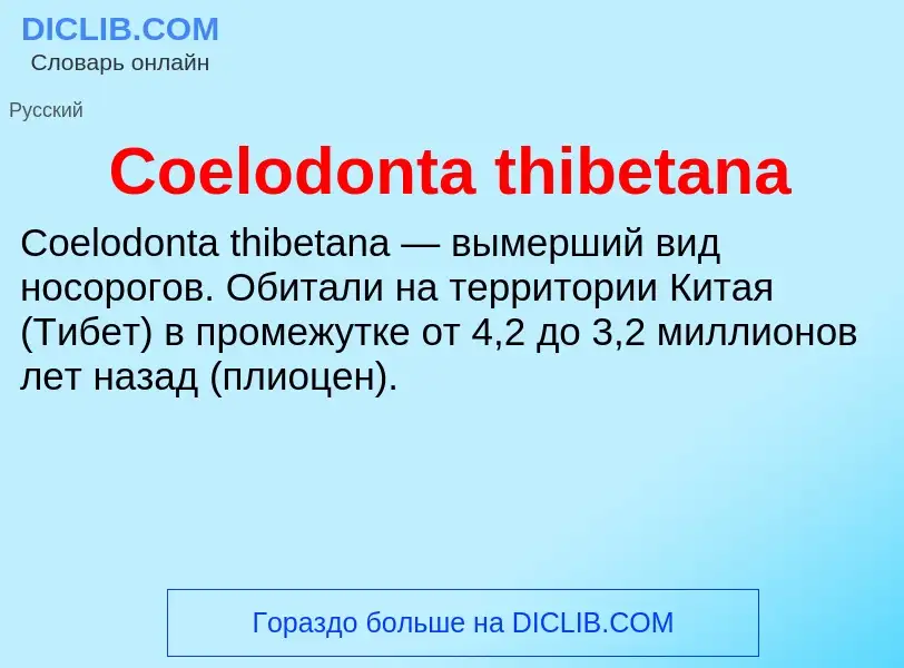 Что такое Coelodonta thibetana - определение