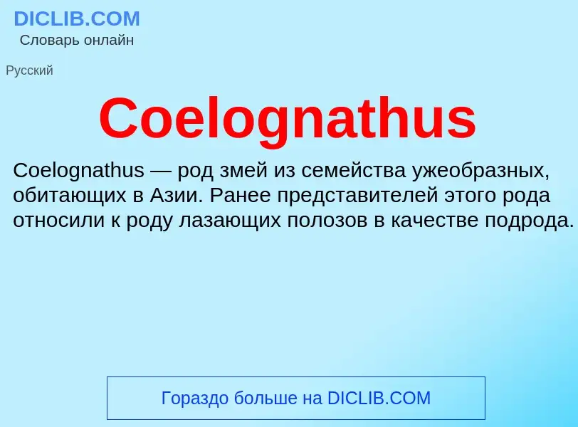 Что такое Coelognathus - определение