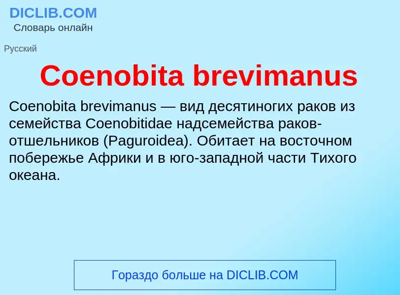 Что такое Coenobita brevimanus - определение