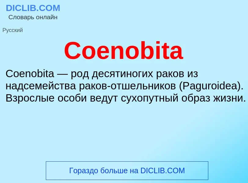 Что такое Coenobita - определение