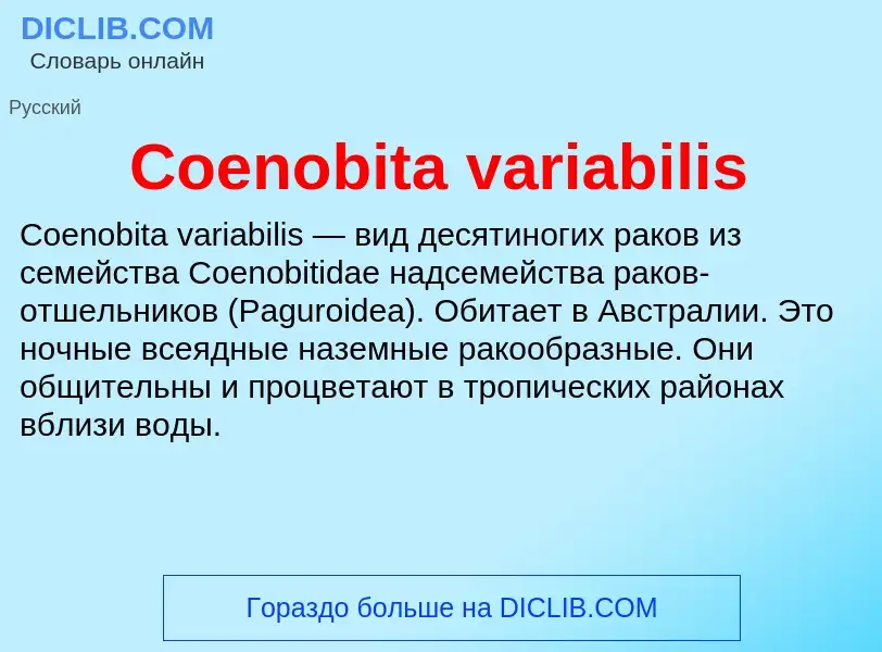 Что такое Coenobita variabilis - определение