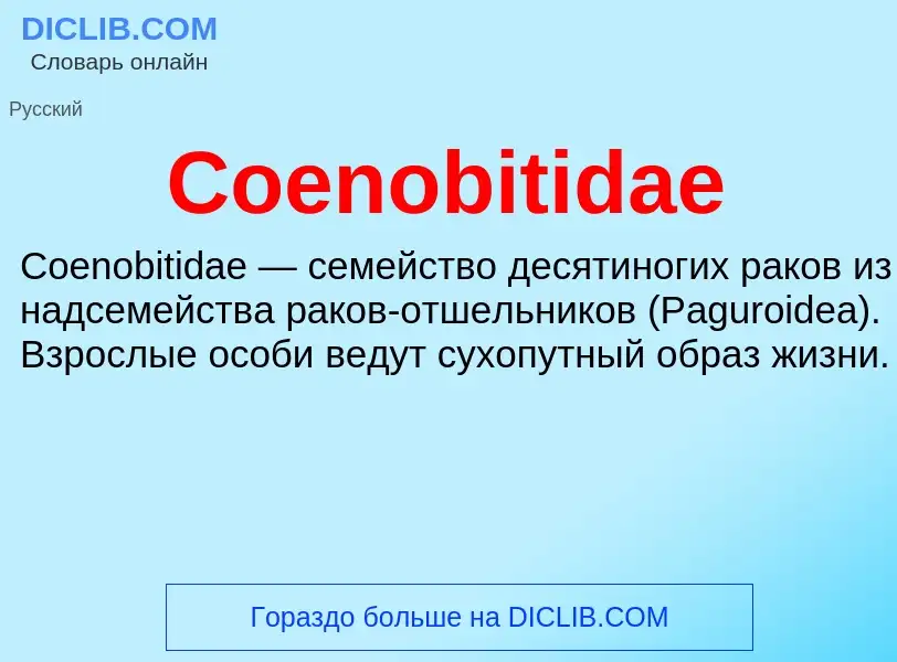 Что такое Coenobitidae - определение