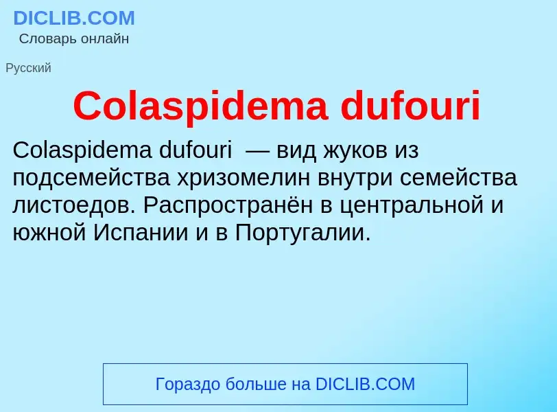 Что такое Colaspidema dufouri - определение