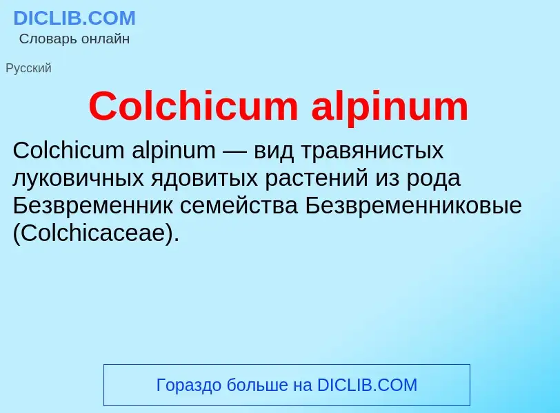 Что такое Colchicum alpinum - определение