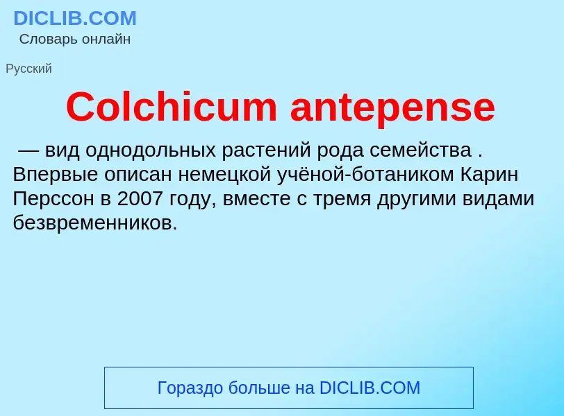 Что такое Colchicum antepense - определение